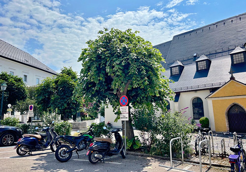 Vespa sveicarijoje