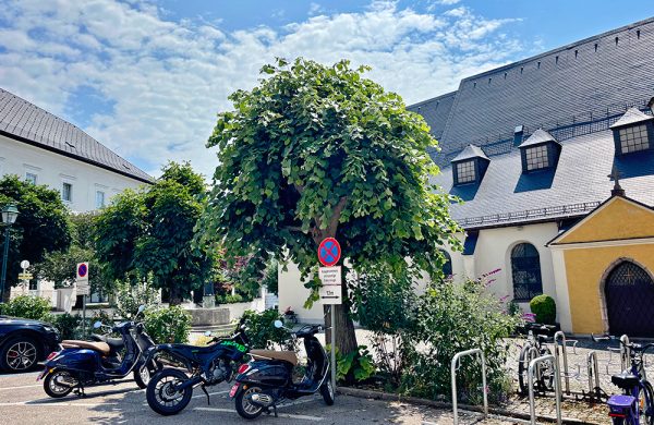 Vespa sveicarijoje