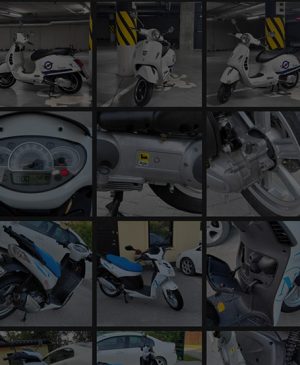 vespa dalys