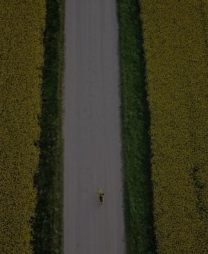 vespa life
